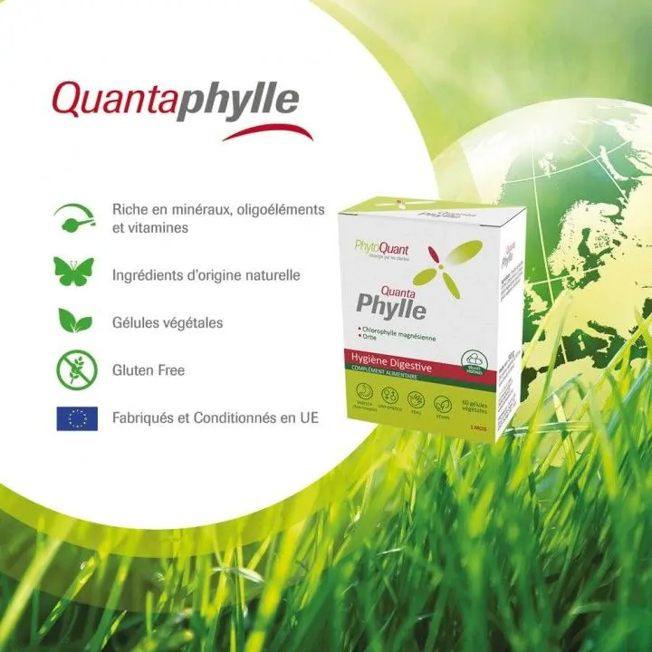 Lot de 3 boîtes de Quantaphylle