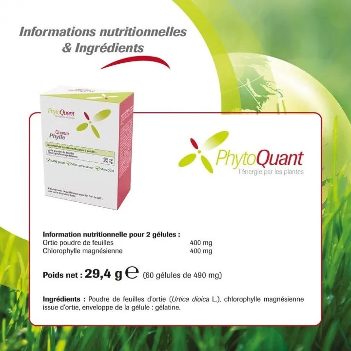 Lot de 3 boîtes de Quantaphylle