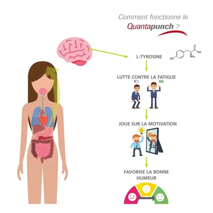 Quantapunch Gummies