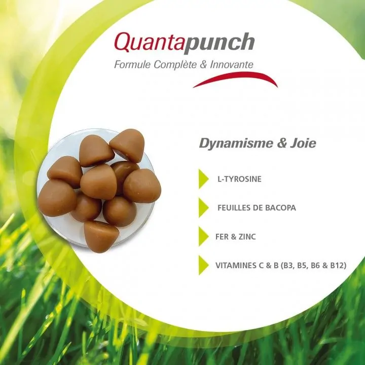 Quantapunch Gummies