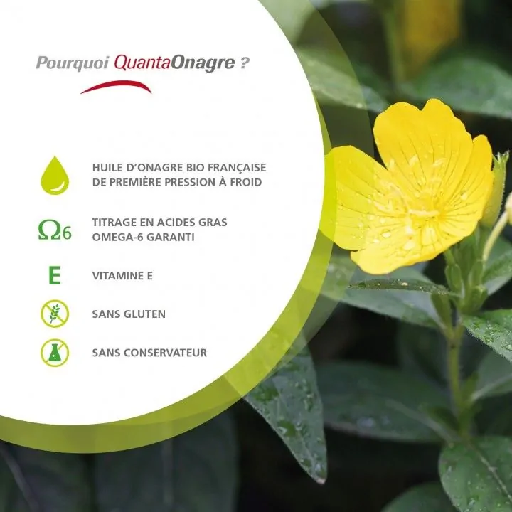 Quantaonagre • PhytoQuant