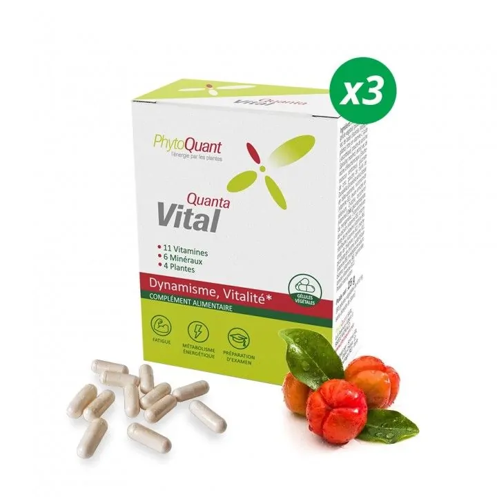 Lot de 3 boîtes de Quantavital