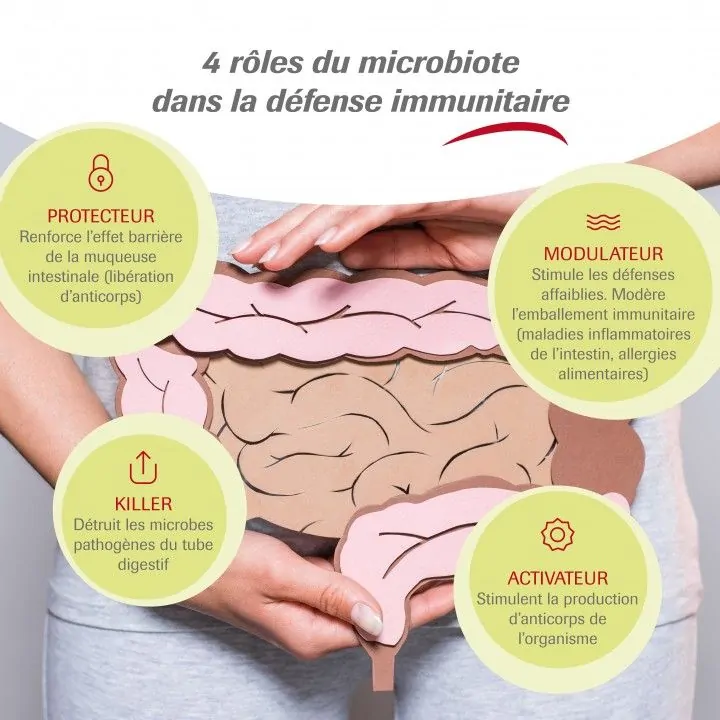 Lot Trois Boites de QuantaZINC