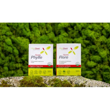 Lot Confort Intestinal • PhytoQuant